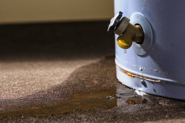 Sewage cleanup and water damage restoration in LA