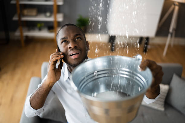 Best Water damage restoration insurance claims  in Bernice, LA