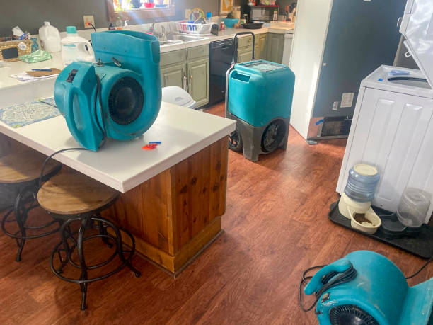 Best Water damage restoration cost  in Bernice, LA
