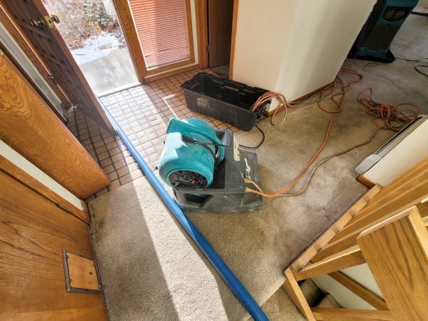 Best 24/7 water damage repair  in Bernice, LA