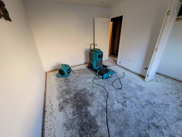 Best Local water damage restoration  in Bernice, LA