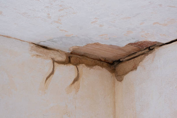 Best Water damage contractors near me  in Bernice, LA