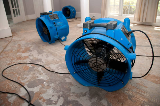 Best Sewage cleanup and water damage restoration  in Bernice, LA