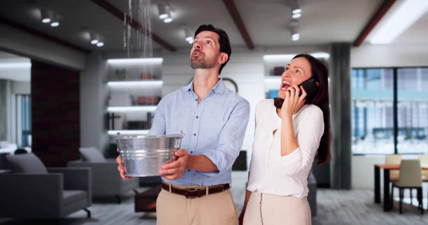 Best Water damage cleanup near me  in Bernice, LA