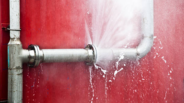 Best Water damage restoration near me  in Bernice, LA