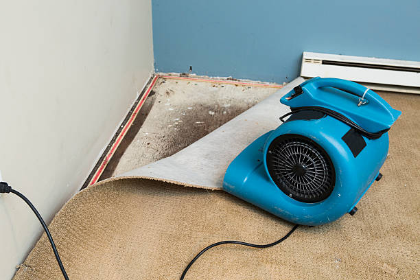 Best Fire Damage Restoration  in Bernice, LA
